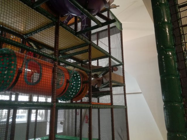 11_Krokodýlek Olomouc